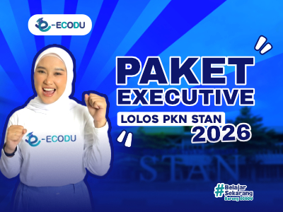 Paket Executive Lolos PKN STAN 2026